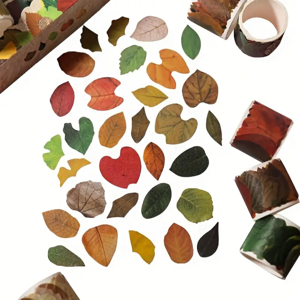 🌳🍃 Colección “Bosque de Papel Japonés” 🍃🌳