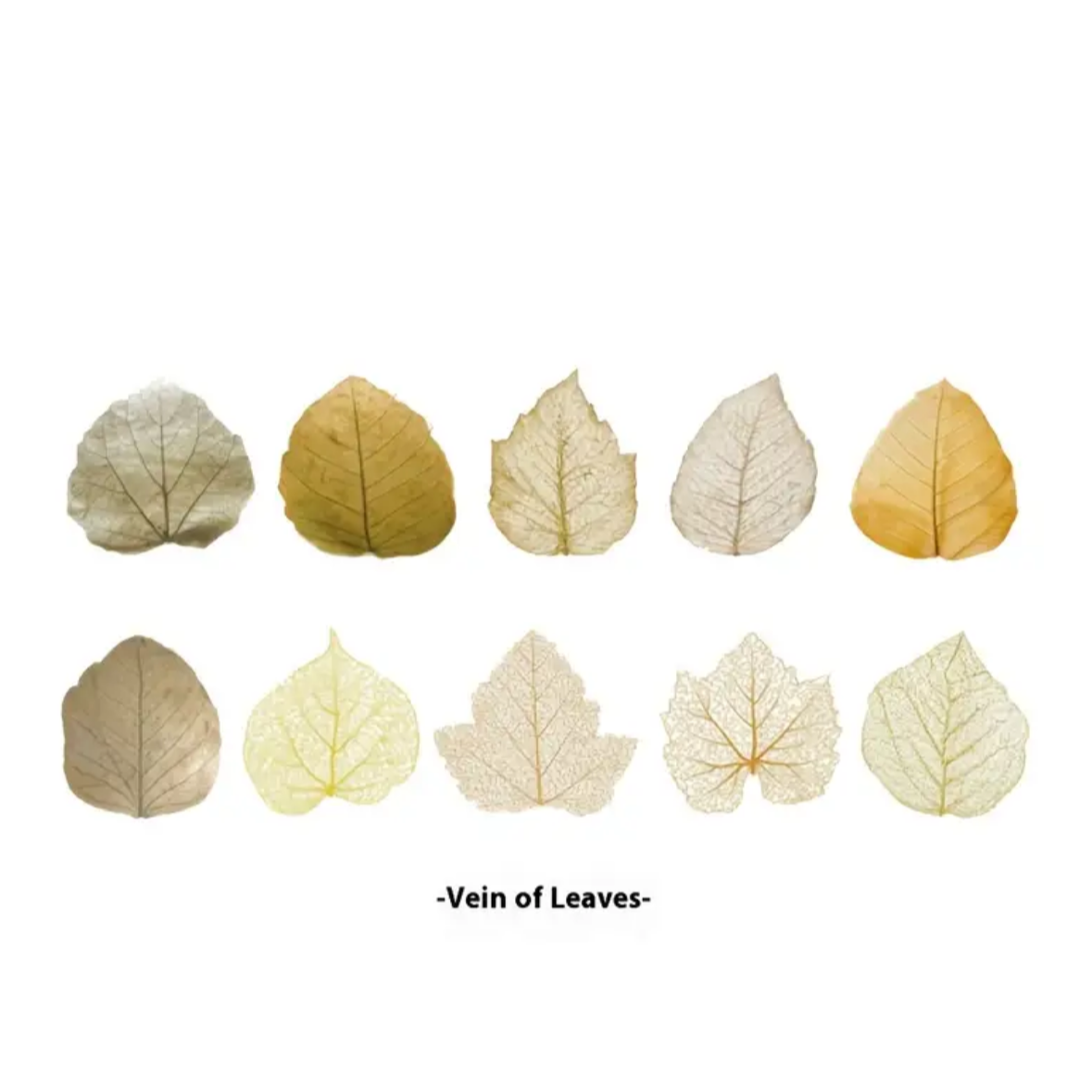 🌳🍃 Colección “Bosque de Papel Japonés” 🍃🌳