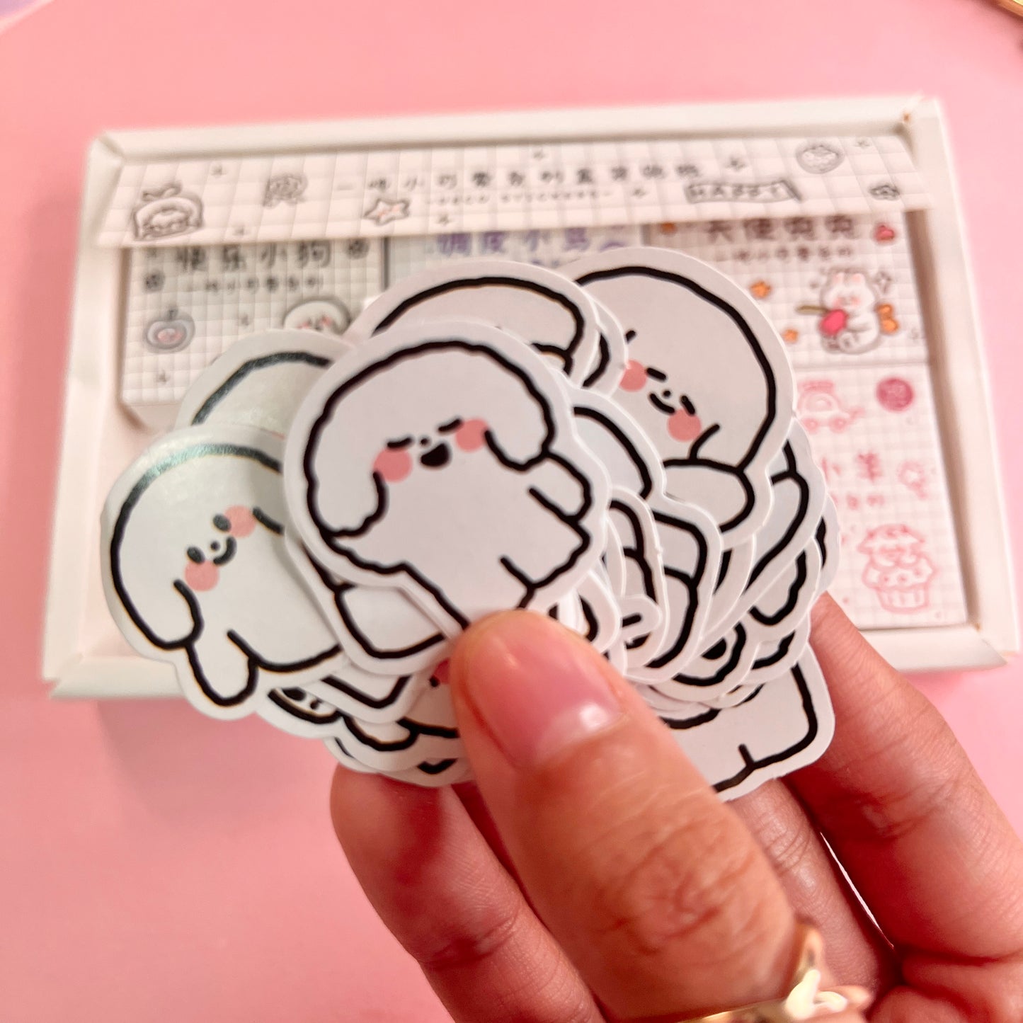 Set de 6 Cajitas Kawaii – 300 Stickers Adorables 🎀🐶🐥🐰🐧🐻🐐